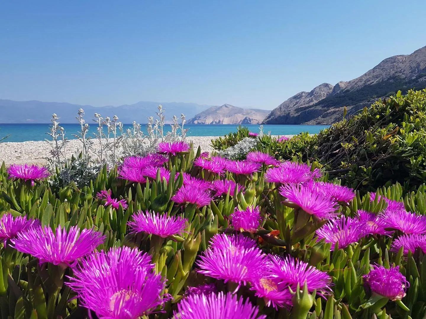 Apartment Krznaric Beach Baška